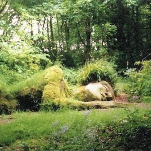 spokojnost prisotnosti v naravi